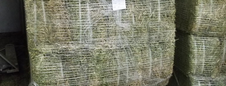 8 Shrink Wrapped Bales