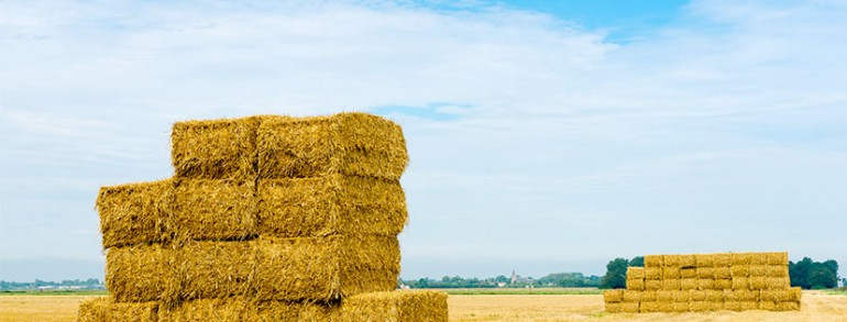 4 Bales